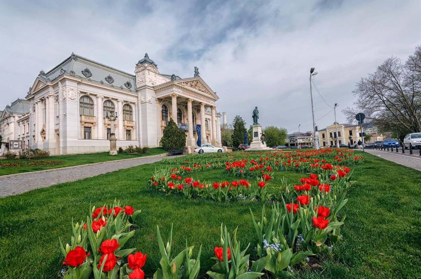 Zazen Silk District Iasi